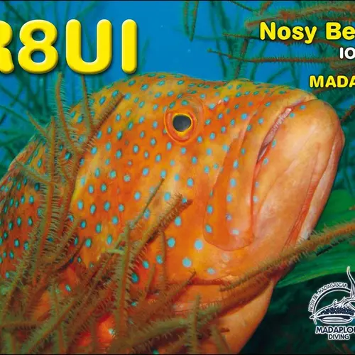 5R8UI