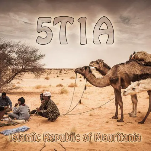 5T1A