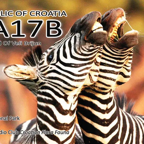 9A17B