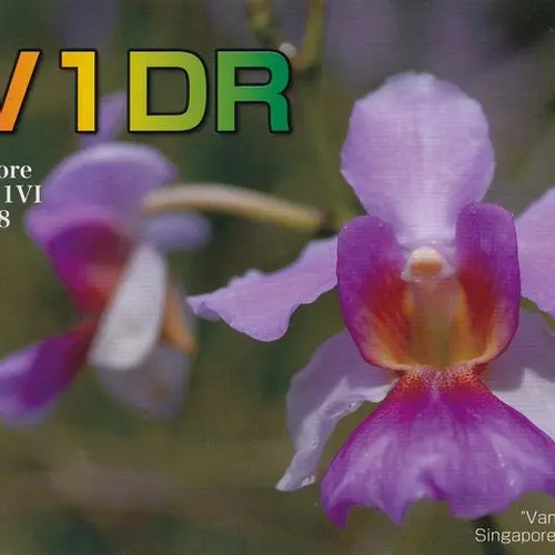 9V1DR