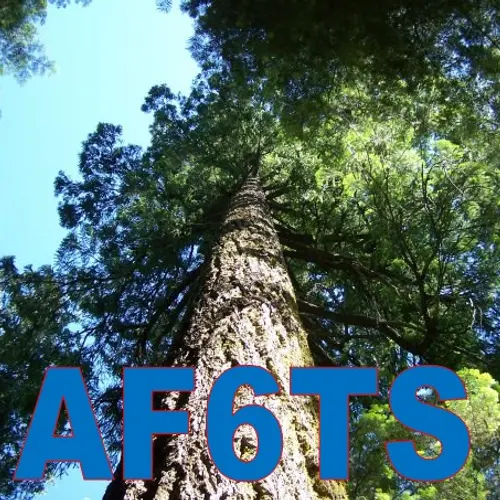 AF6TS