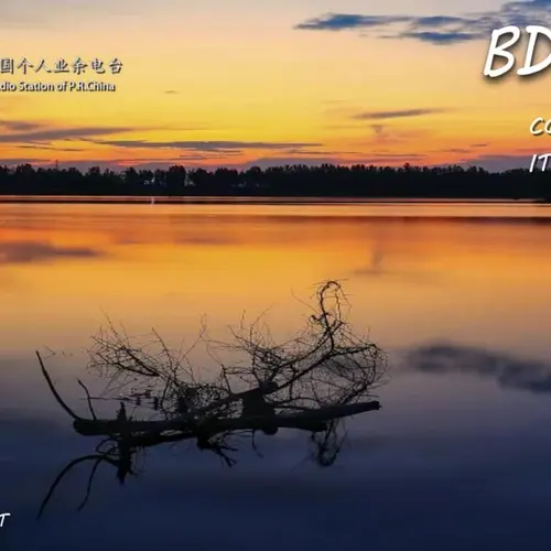 BD3POT