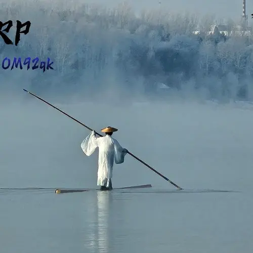 BD4WRP