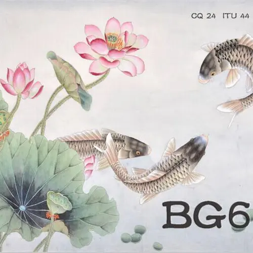 BG6RI