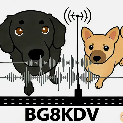 BG8KDV