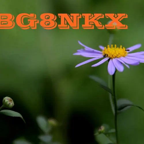 BG8NKX
