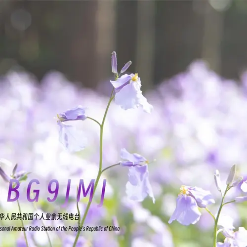 BG9JMJ