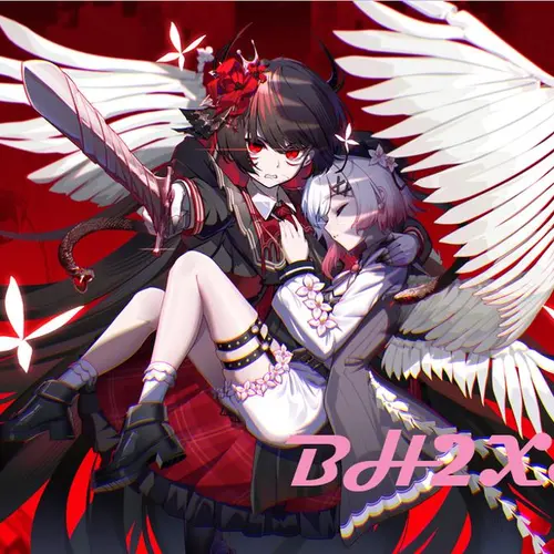 BH2XSM