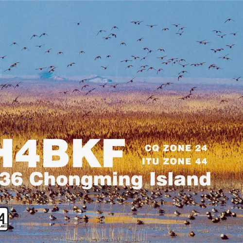 BH4BKF