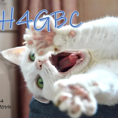 BH4GBC