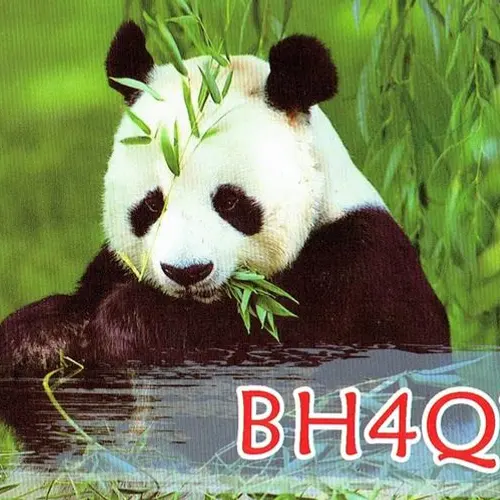 BH4QYX