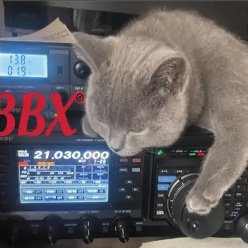 BI3BX