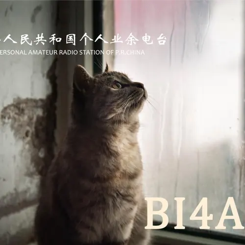 BI4AGE