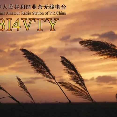 BI4VTY