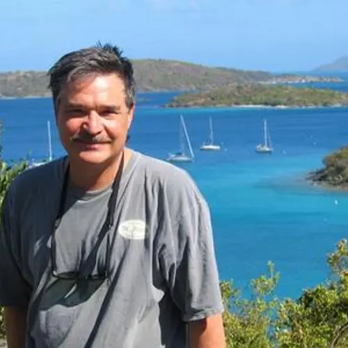 W6DXO profile image
