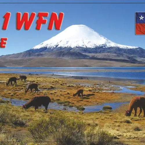 CE1WFN