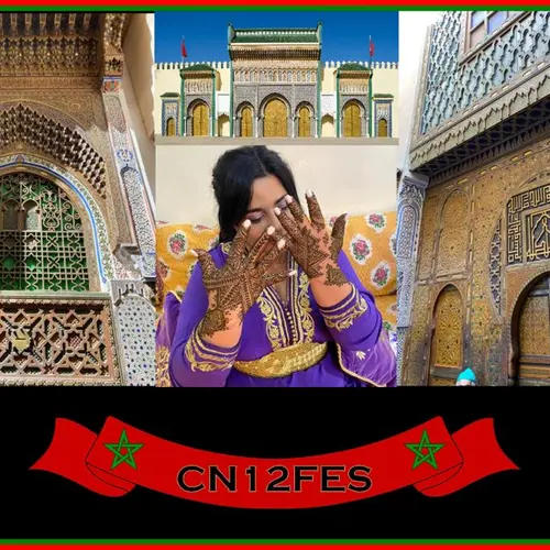 CN12FES
