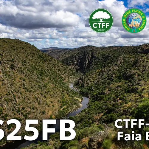 CS25FB