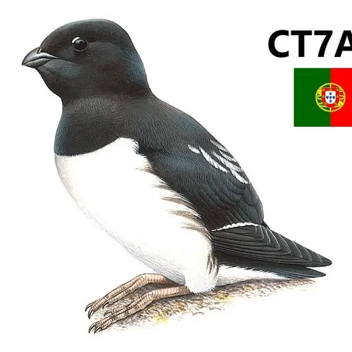 CT2IBY