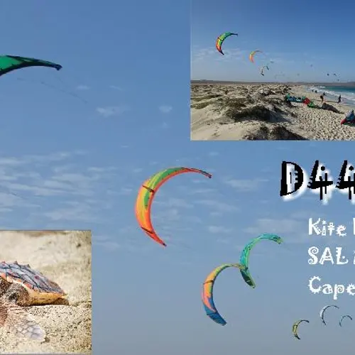 D44KIT