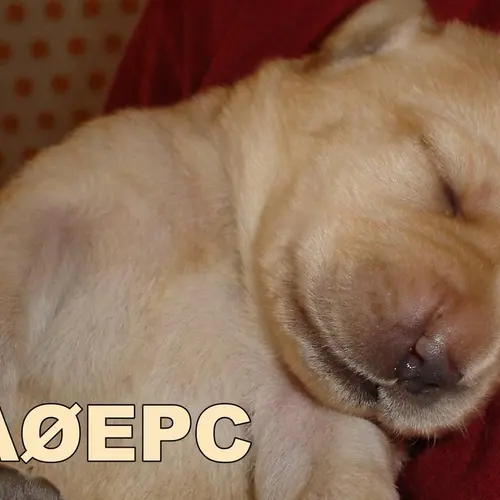 DA0EPC