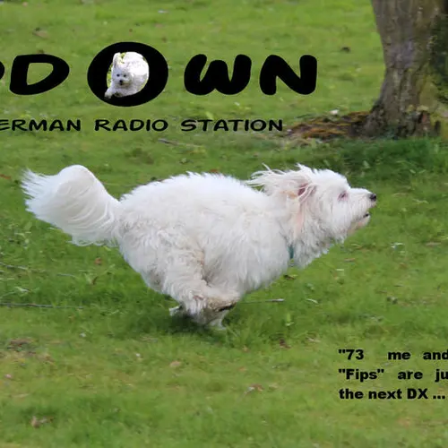 DD0WN