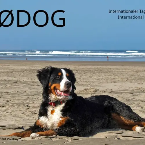 DL0DOG
