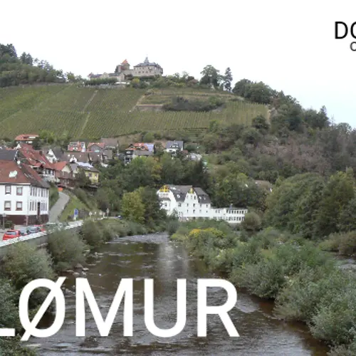 DL0MUR