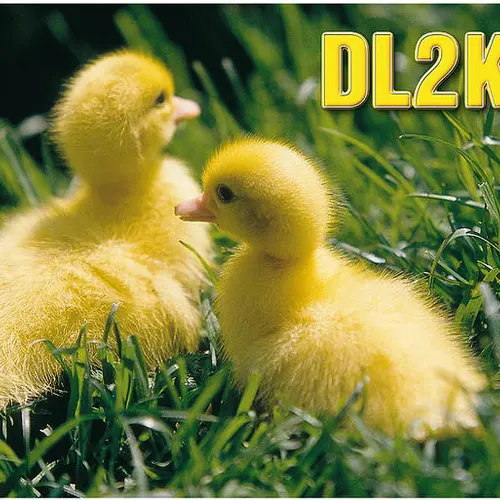 DL2KUF