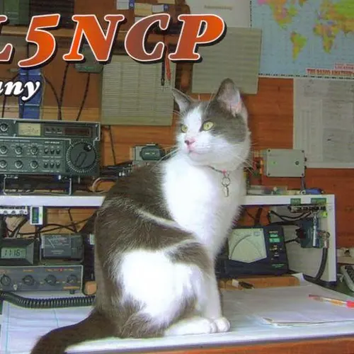 DL5NCP
