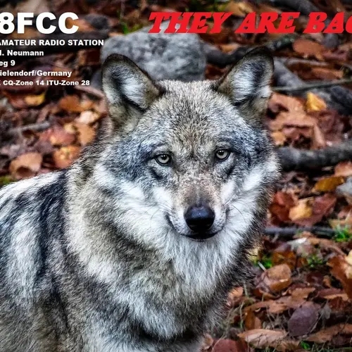 DL8FCC