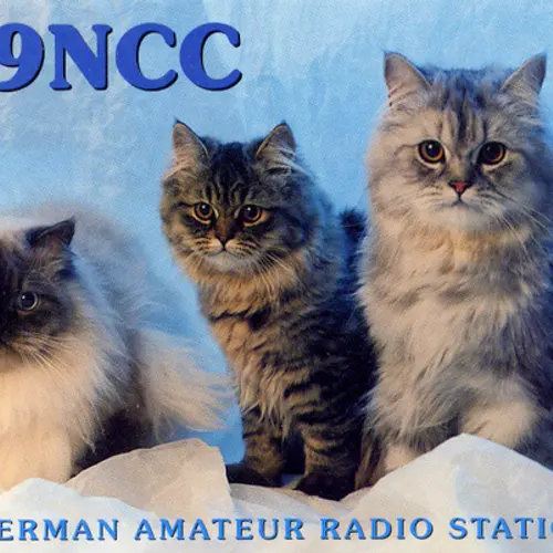 DL9NCC