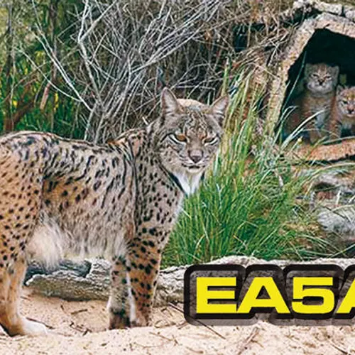 EA5AT