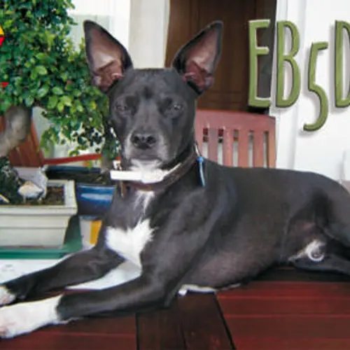EB5DQH