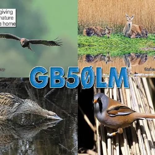 GB50LM