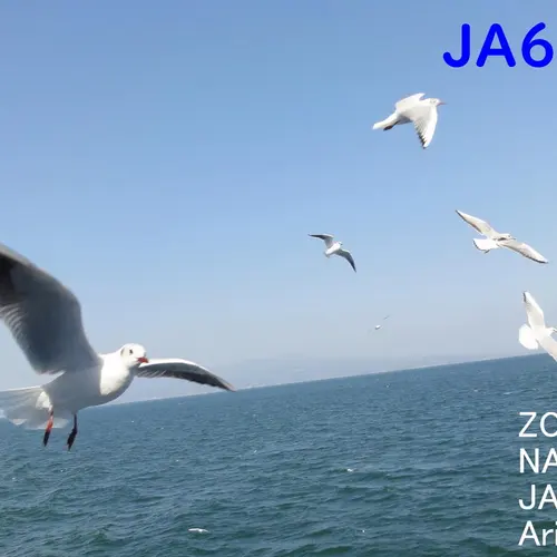 JA6PAV
