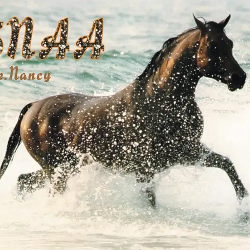 K5NAA