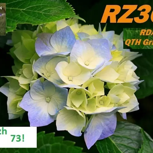RZ3QN