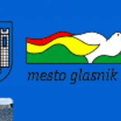S53Q
