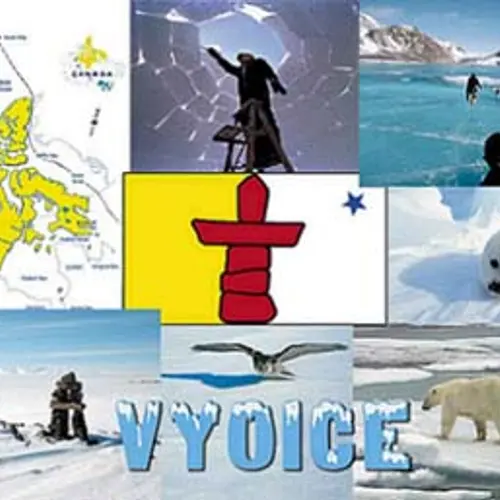 VY0ICE