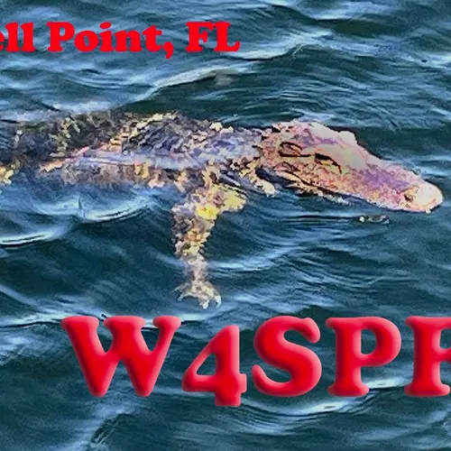 W4SPF profile image