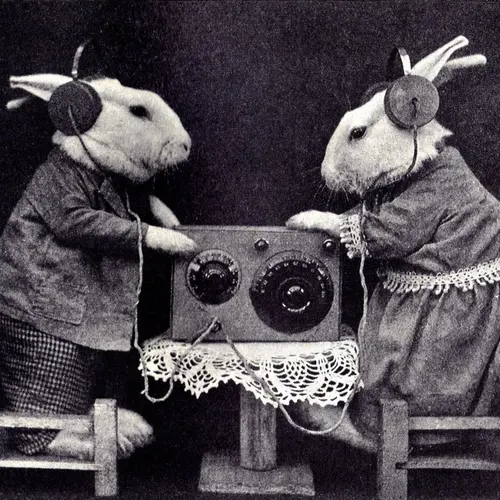 W7BUN profile image