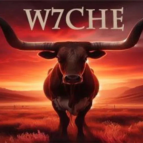 W7CHE profile image