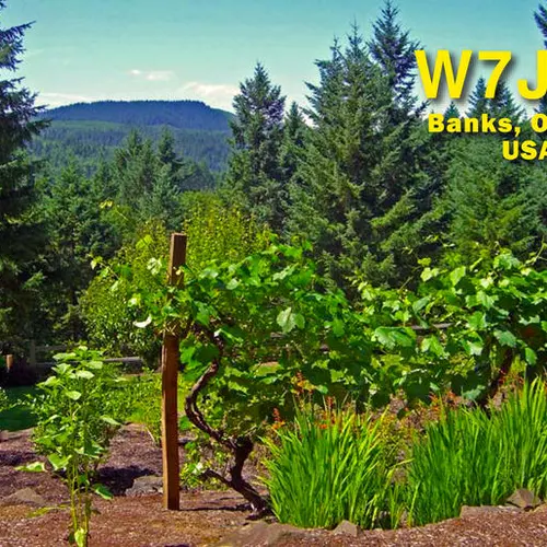 W7JAZ profile image