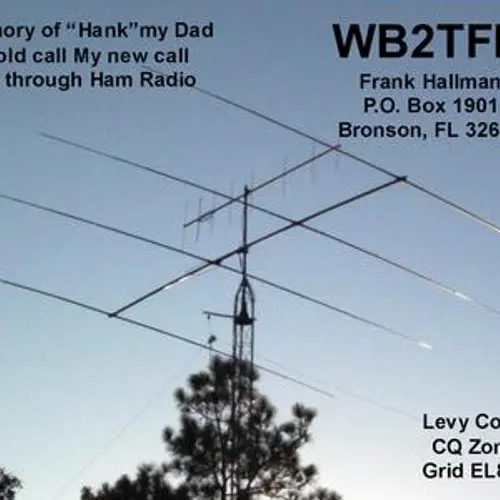 WB2TFM profile image