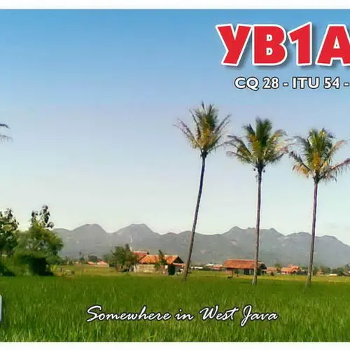 YB1ALL profile image