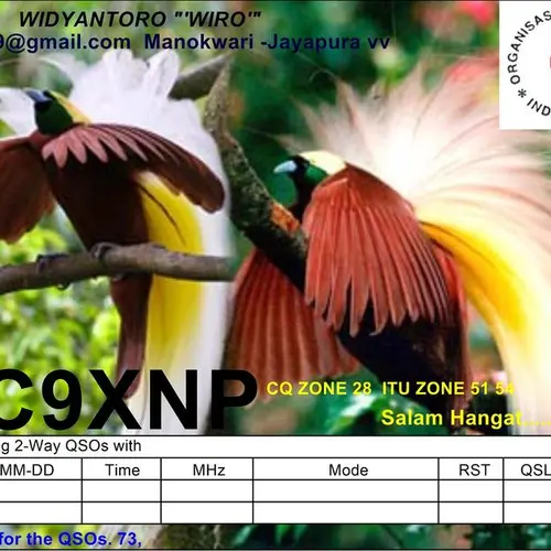 YC9XNP