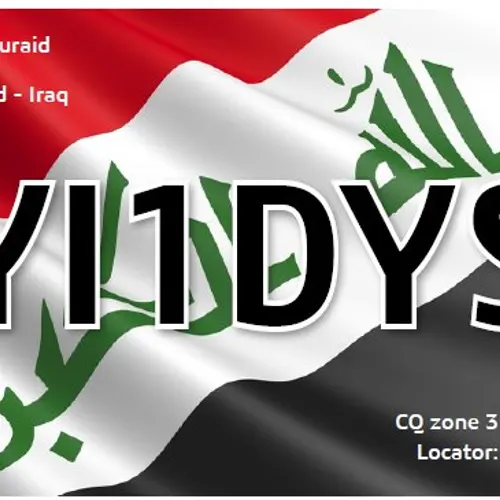 YI1DYS