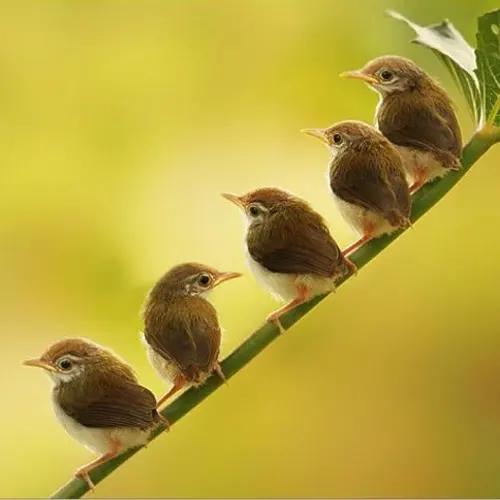 YL5X profile image