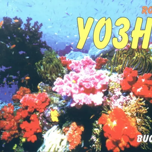 YO3HYZ profile image